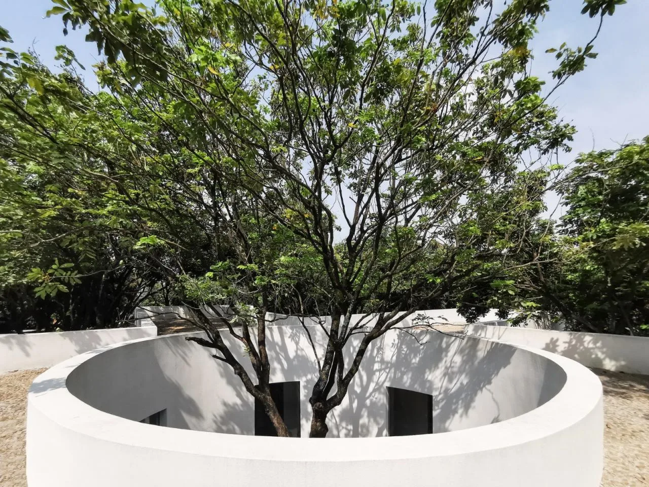 BIM architecture | Yard under longan tree/on-site buildings
