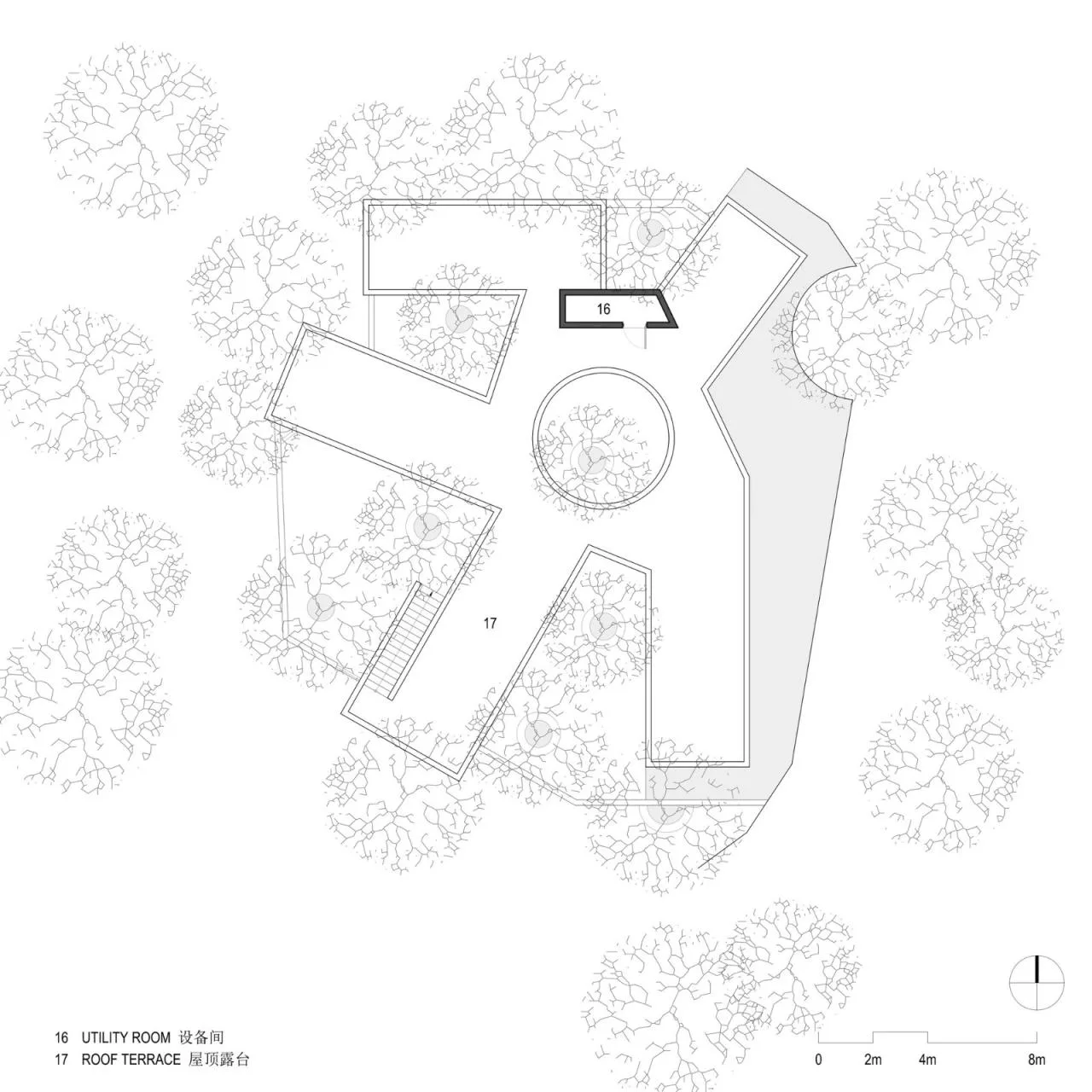 BIM architecture | Yard under longan tree/on-site buildings