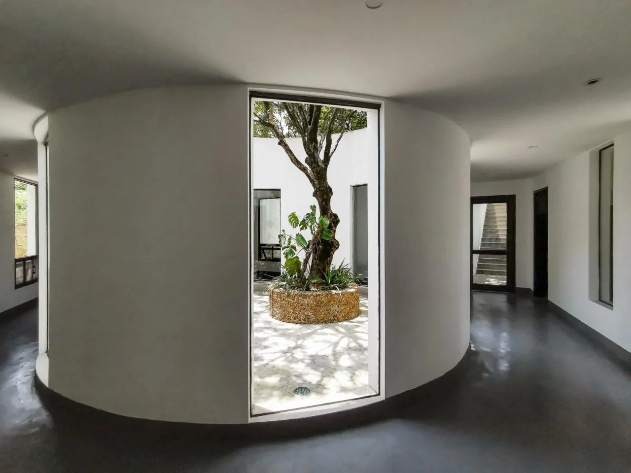 BIM architecture | Yard under longan tree/on-site buildings