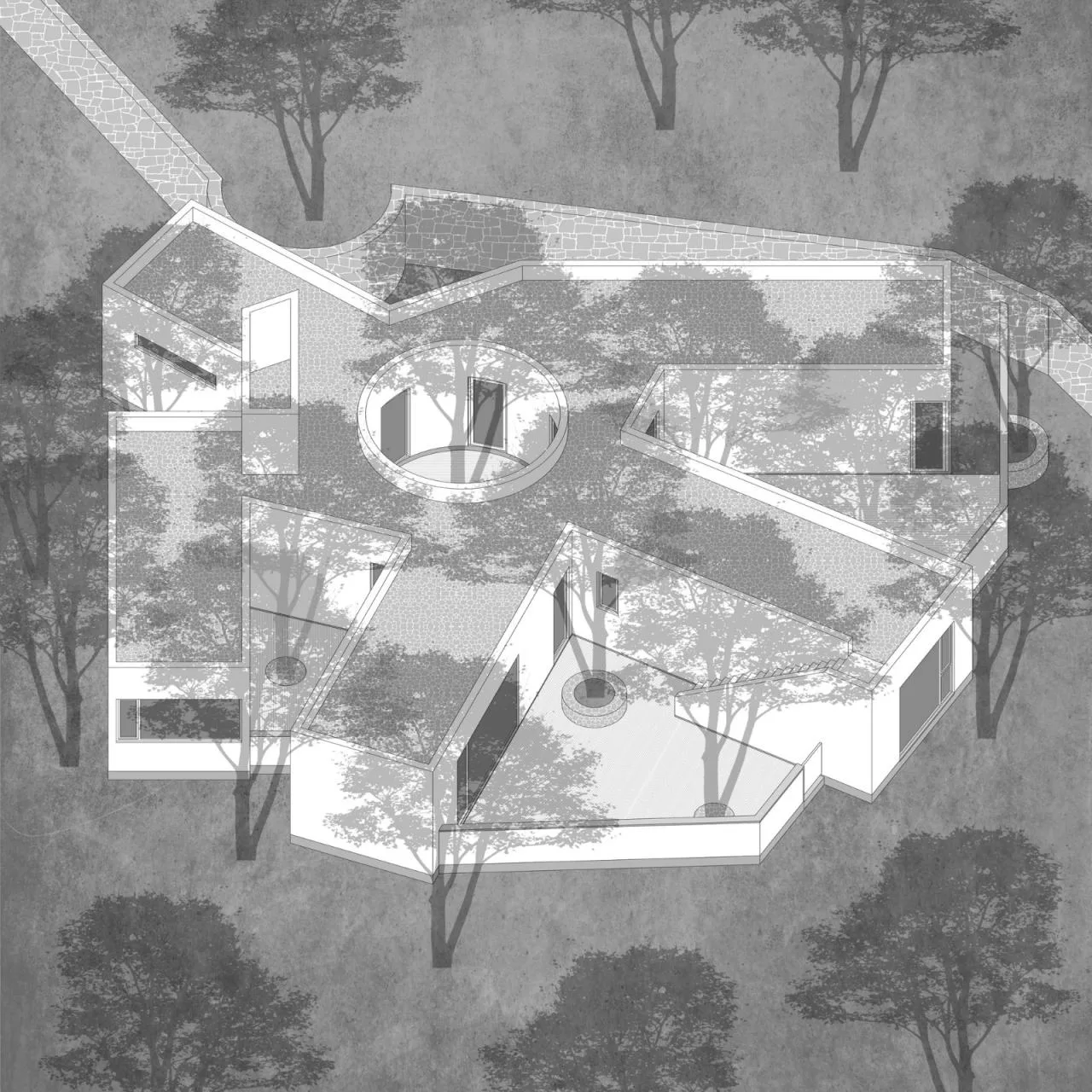 BIM architecture | Yard under longan tree/on-site buildings