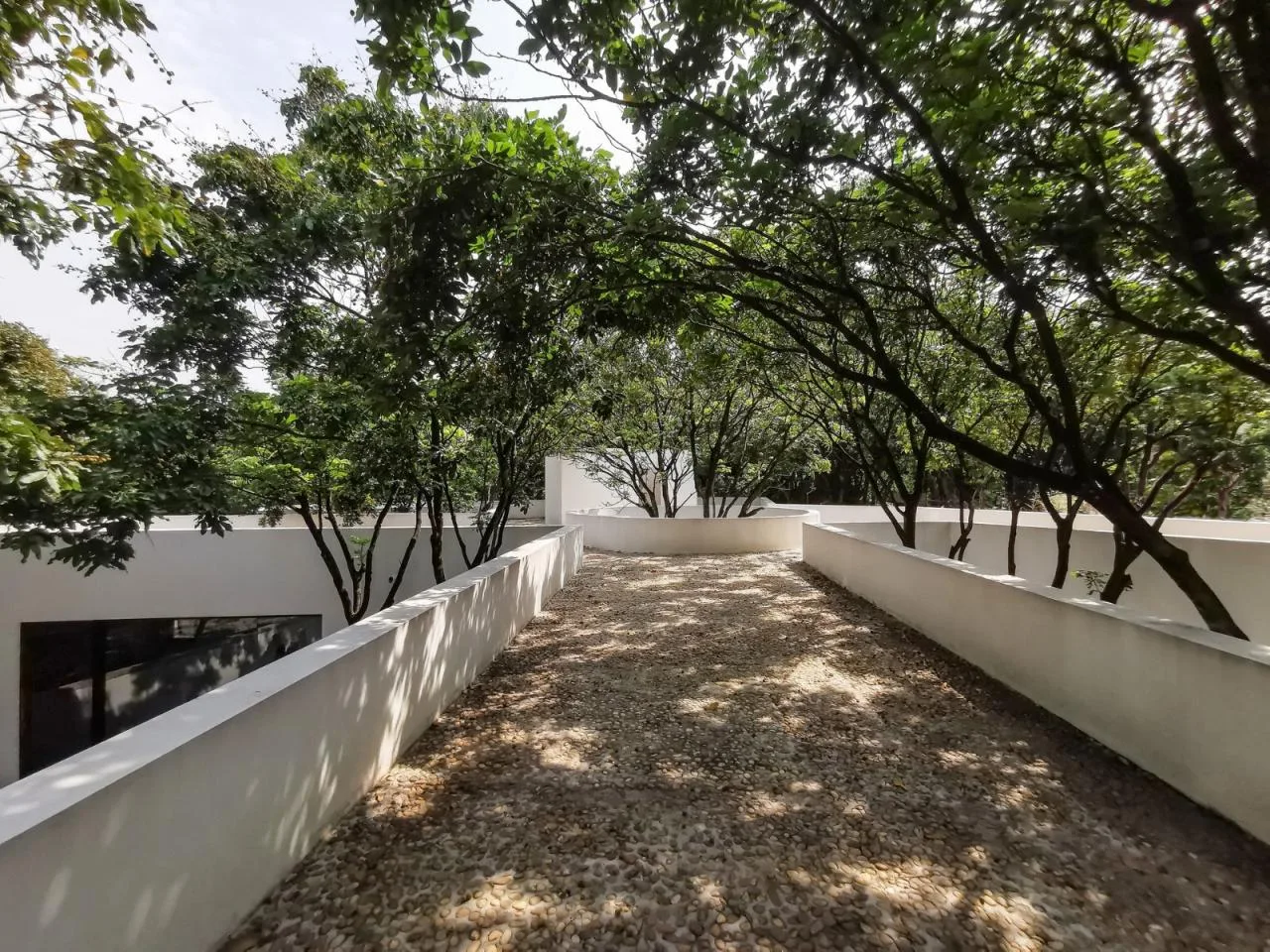 BIM architecture | Yard under longan tree/on-site buildings