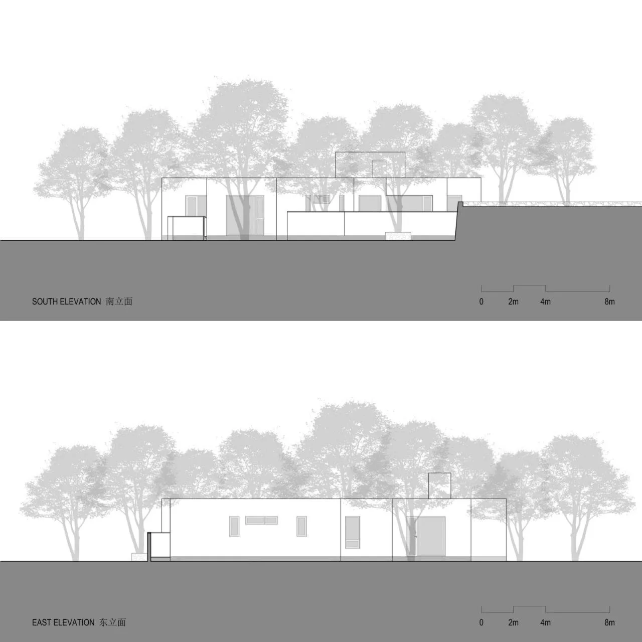 BIM architecture | Yard under longan tree/on-site buildings