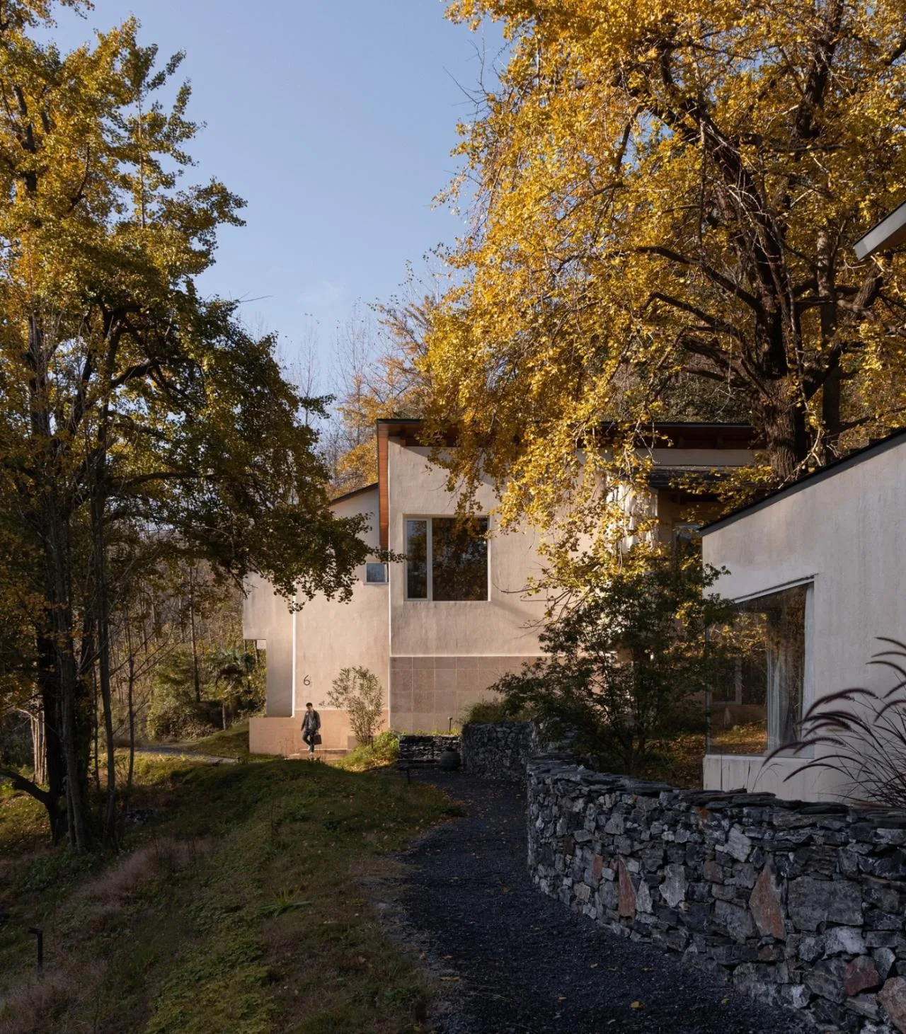BIM Architecture | Da Le Zhi Ye · Ginkgo Valley/Moguang Architecture