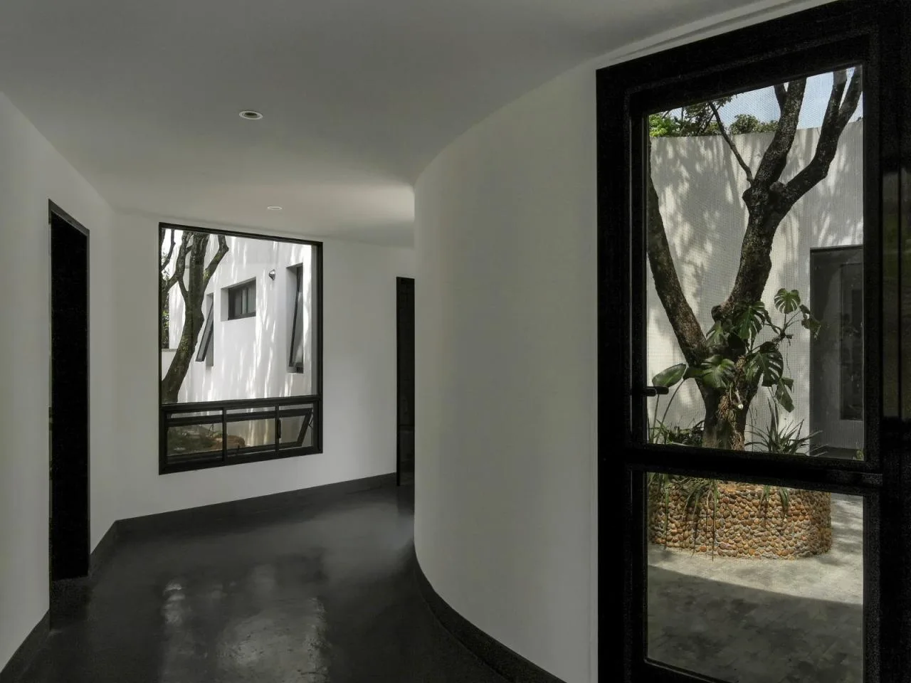 BIM architecture | Yard under longan tree/on-site buildings
