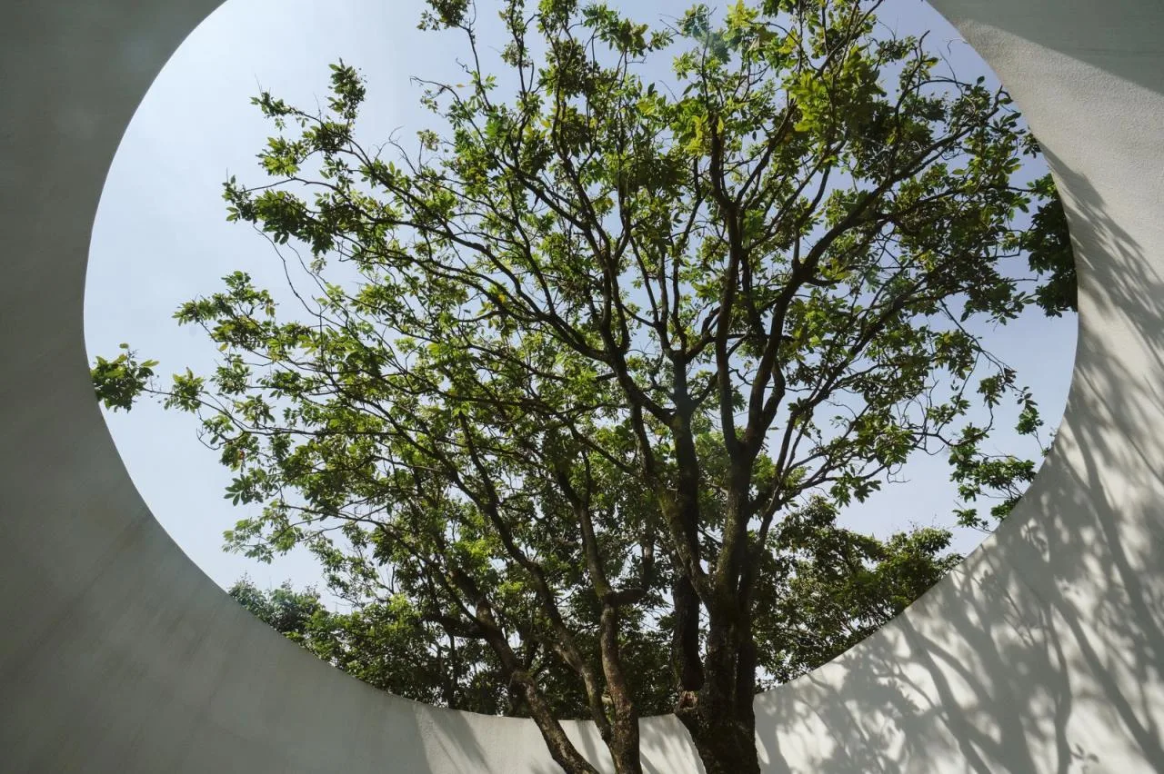 BIM architecture | Yard under longan tree/on-site buildings