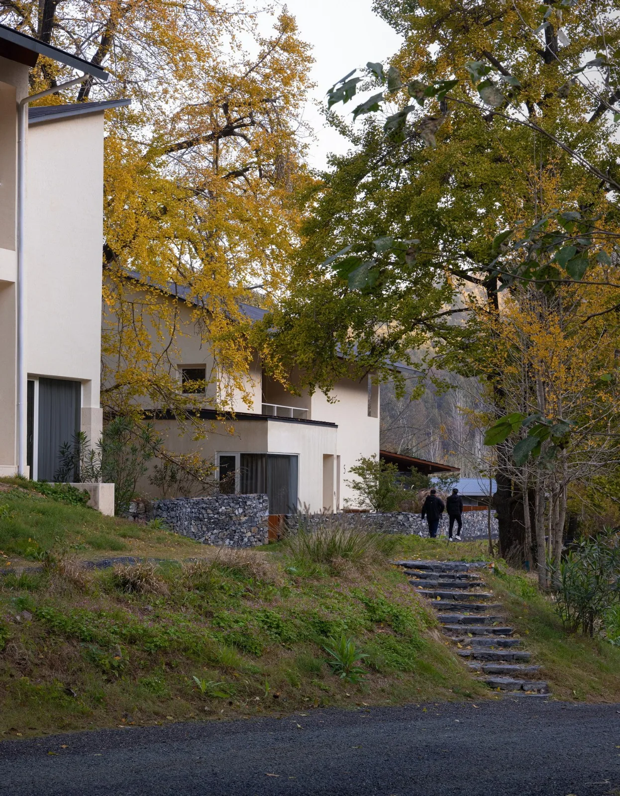 BIM Architecture | Da Le Zhi Ye · Ginkgo Valley/Moguang Architecture
