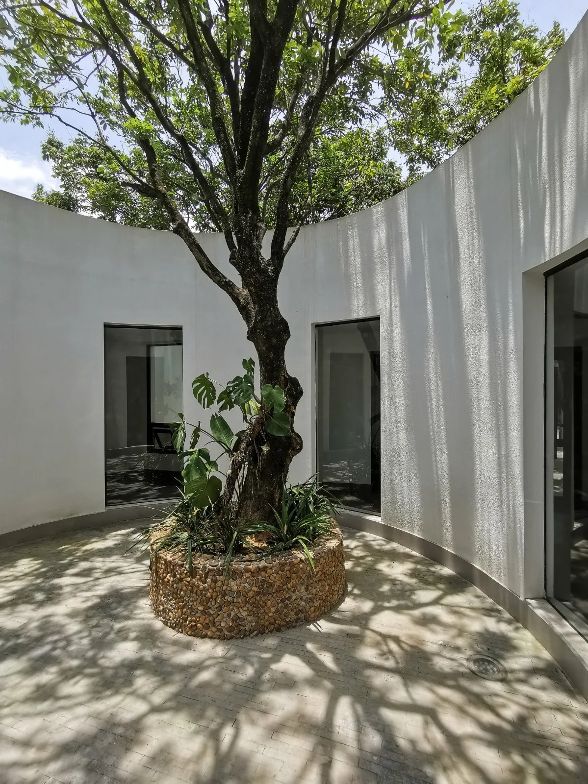 BIM architecture | Yard under longan tree/on-site buildings