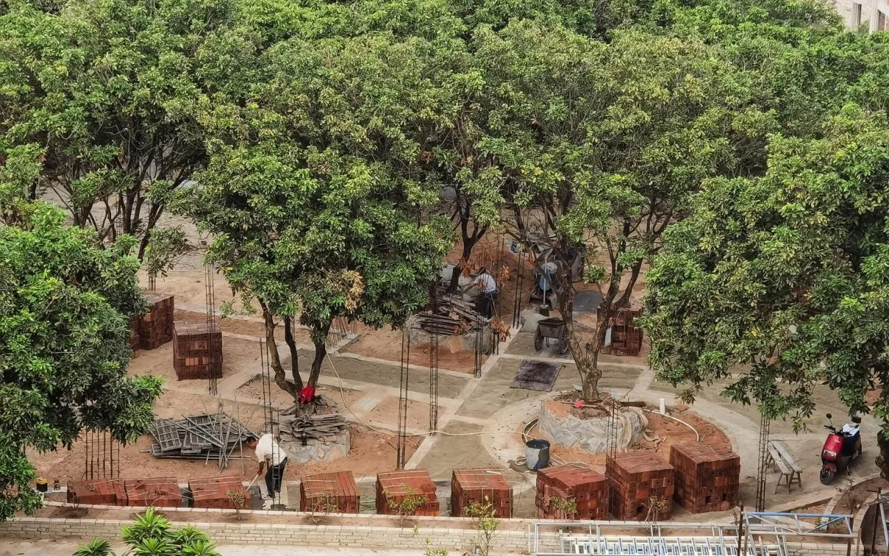 BIM architecture | Yard under longan tree/on-site buildings