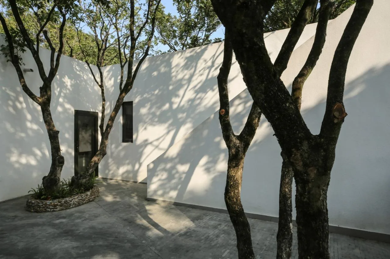 BIM architecture | Yard under longan tree/on-site buildings