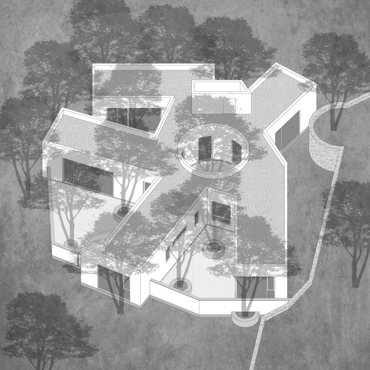 BIM architecture | Yard under longan tree/on-site buildings