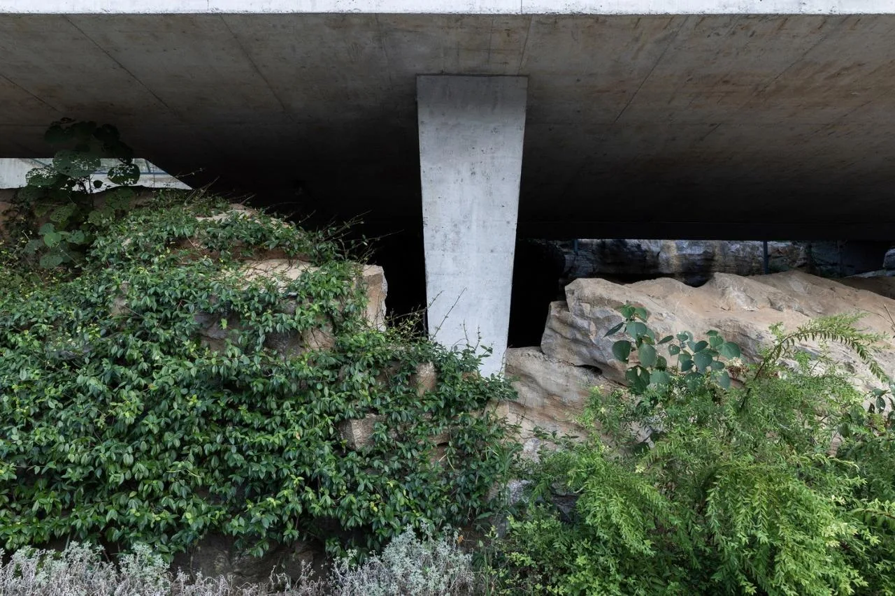 BIM Architecture | Shiyangshan No.1 Residential/Lowercase Architecture Firm