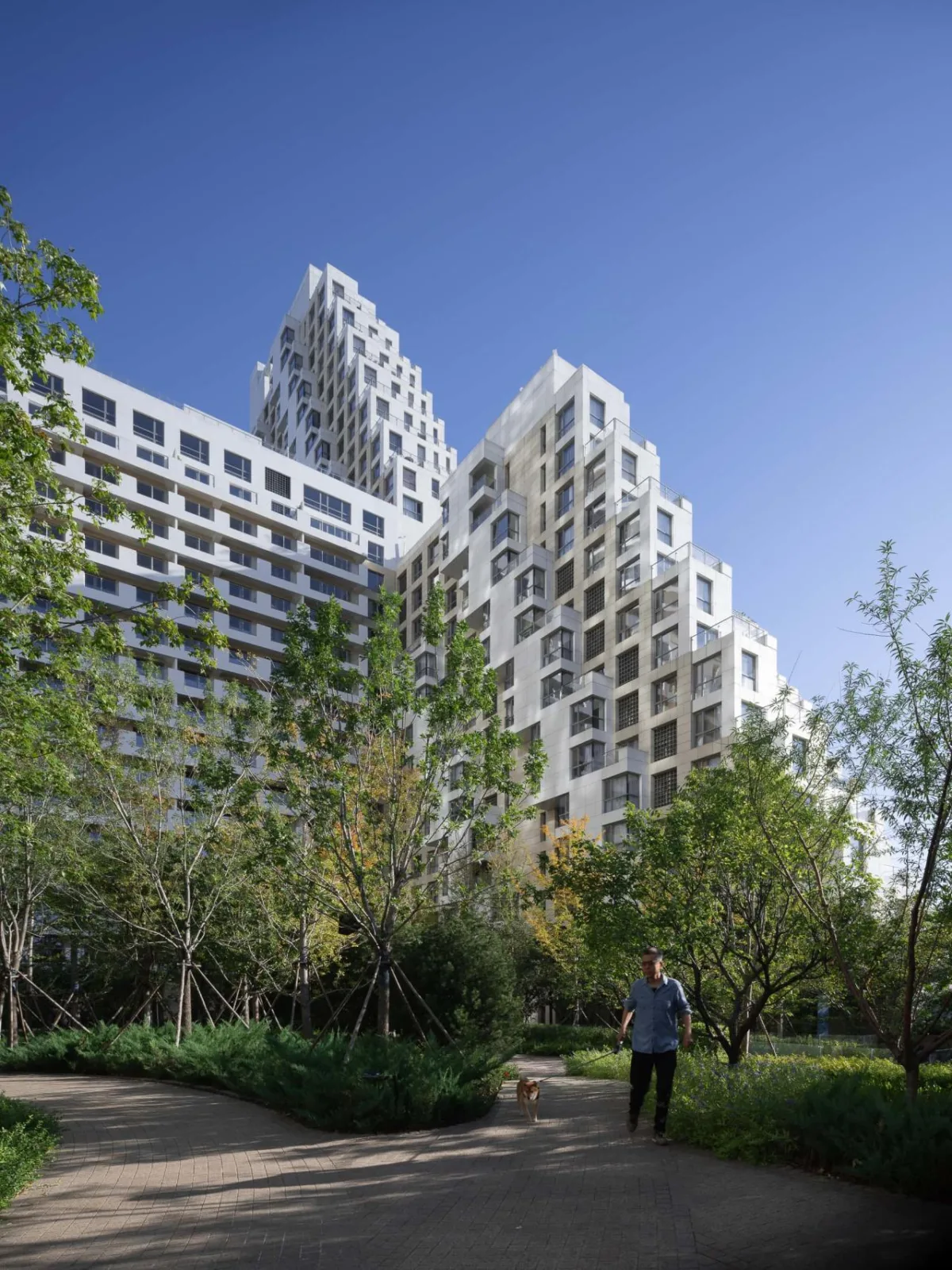 BIM Architecture | Qinhuangdao Haibitai Phase II fully completed/Safdi Architectural Firm