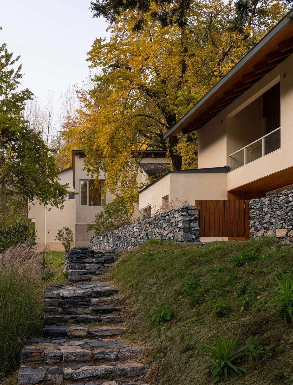 BIM Architecture | Da Le Zhi Ye · Ginkgo Valley/Moguang Architecture