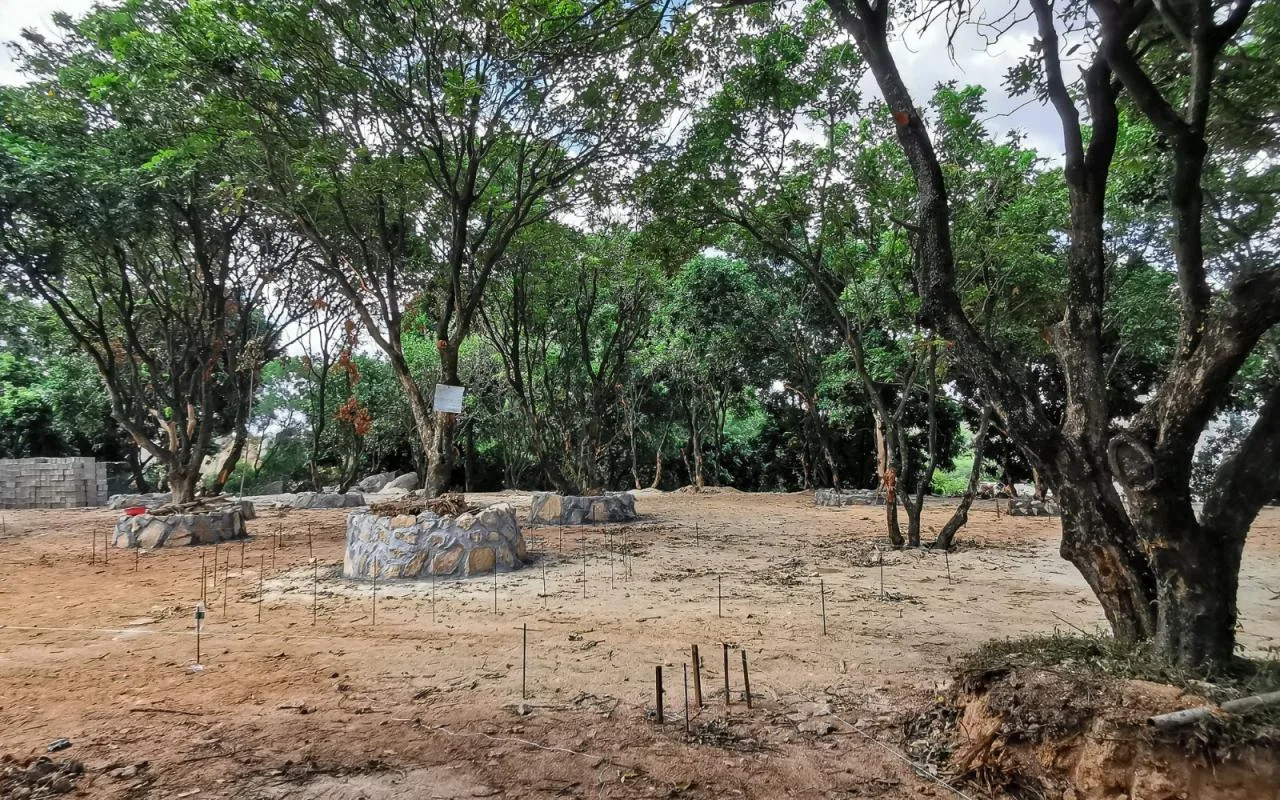 BIM architecture | Yard under longan tree/on-site buildings