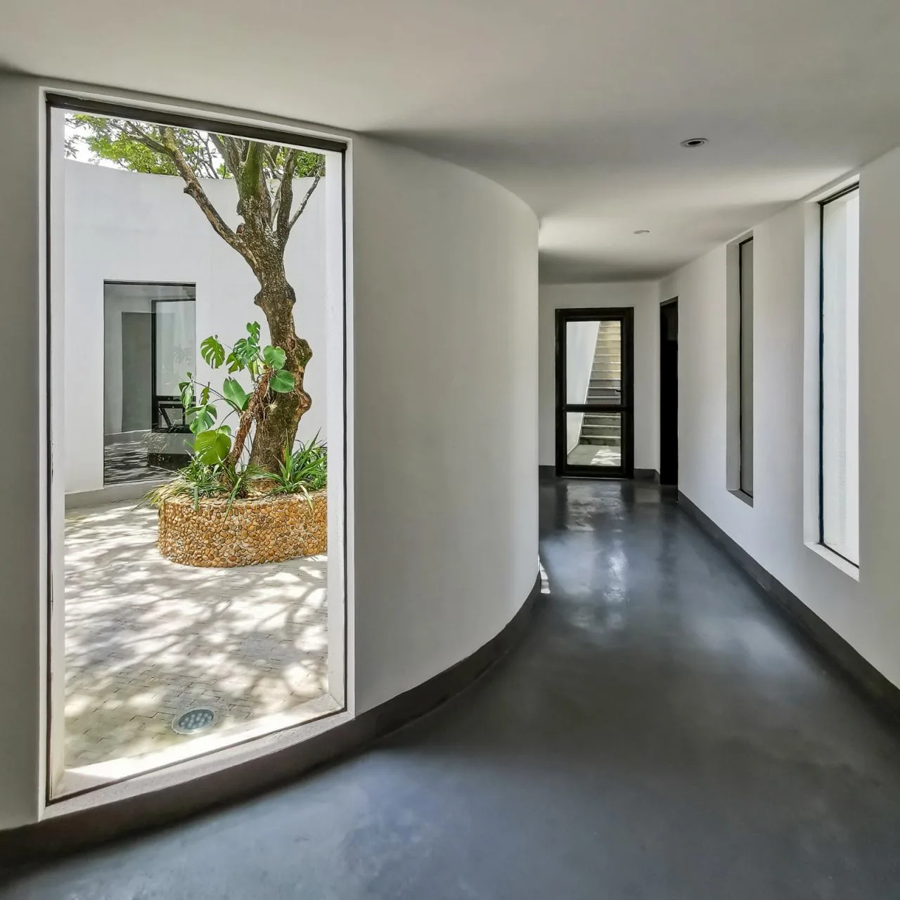 BIM architecture | Yard under longan tree/on-site buildings