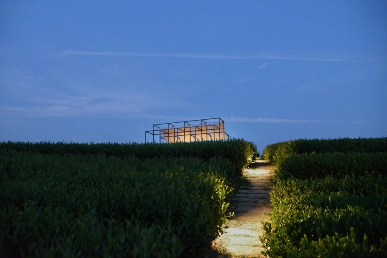 BIM Architecture | Changdai Village Art Village Architecture Series - Chashan Floating Pavilion/Yumu Architecture