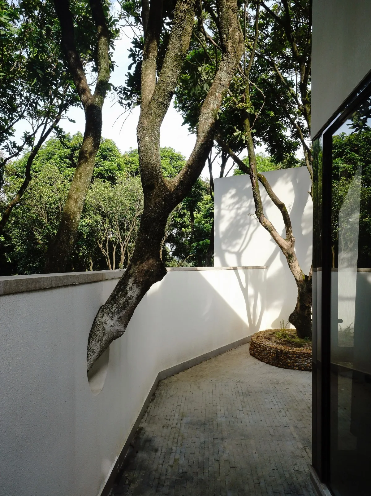 BIM architecture | Yard under longan tree/on-site buildings