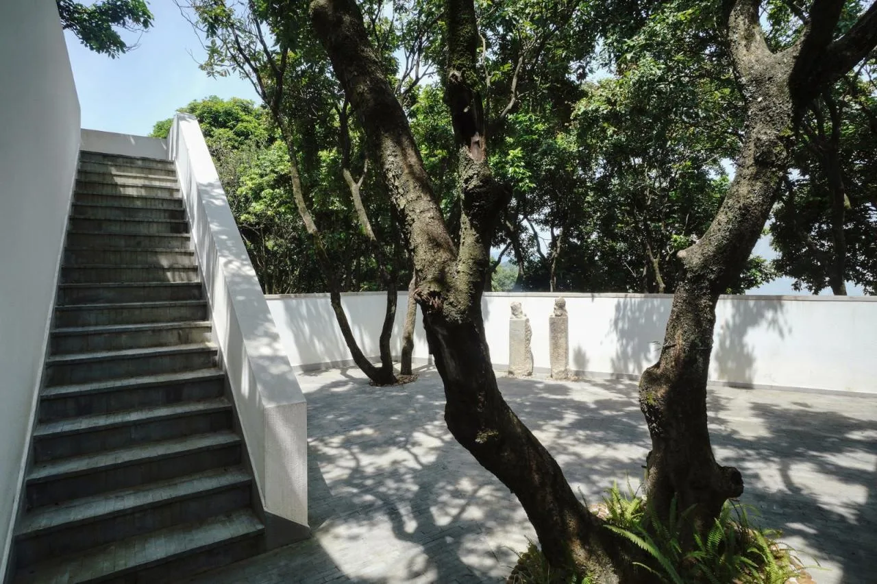 BIM architecture | Yard under longan tree/on-site buildings