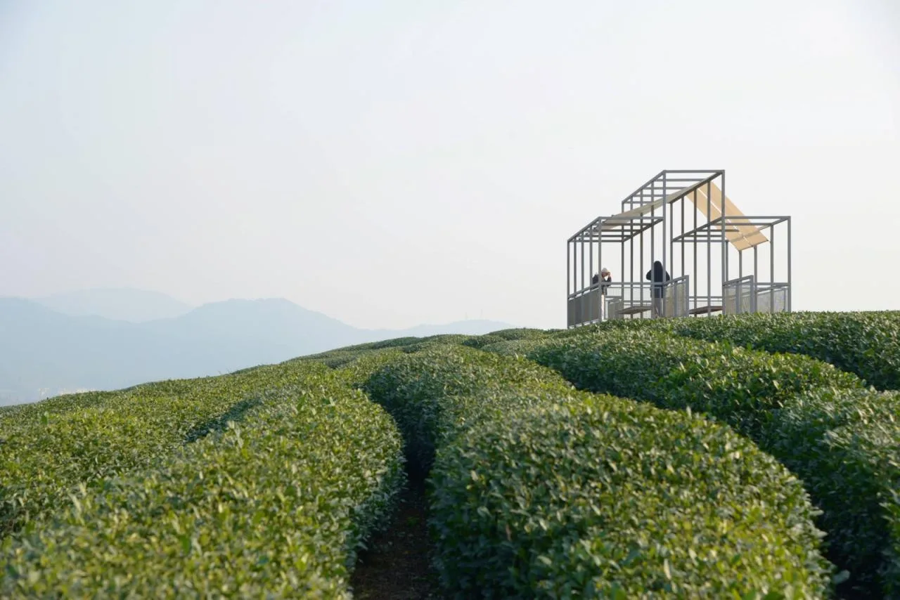BIM Architecture | Changdai Village Art Village Architecture Series - Chashan Floating Pavilion/Yumu Architecture