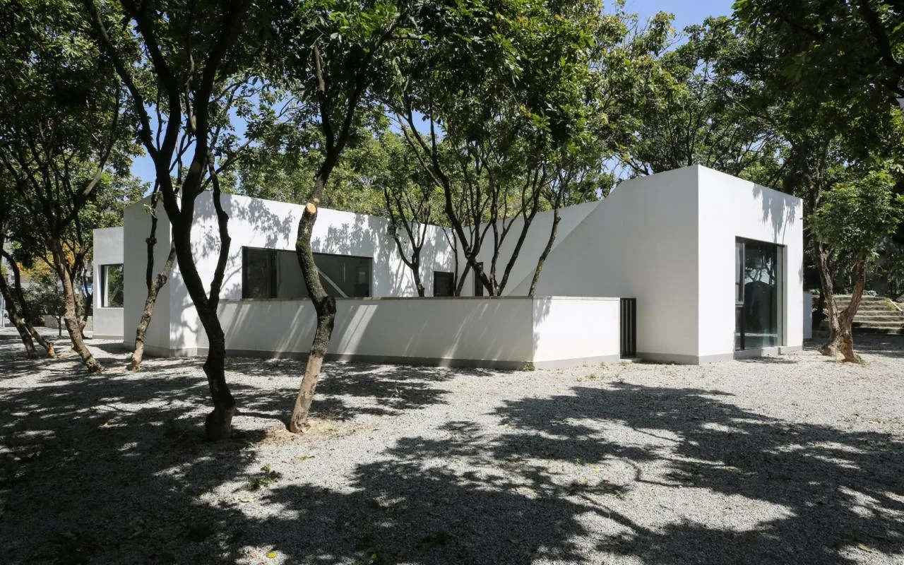 BIM architecture | Yard under longan tree/on-site buildings