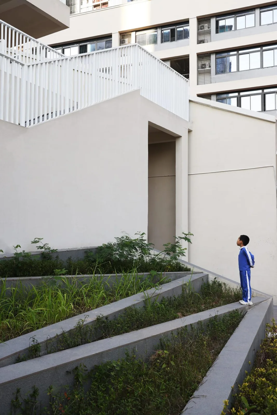 BIM Architecture | Qingquan Foreign Language School Junior High School/Yijing Architectural Design, Longhua District, Shenzhen