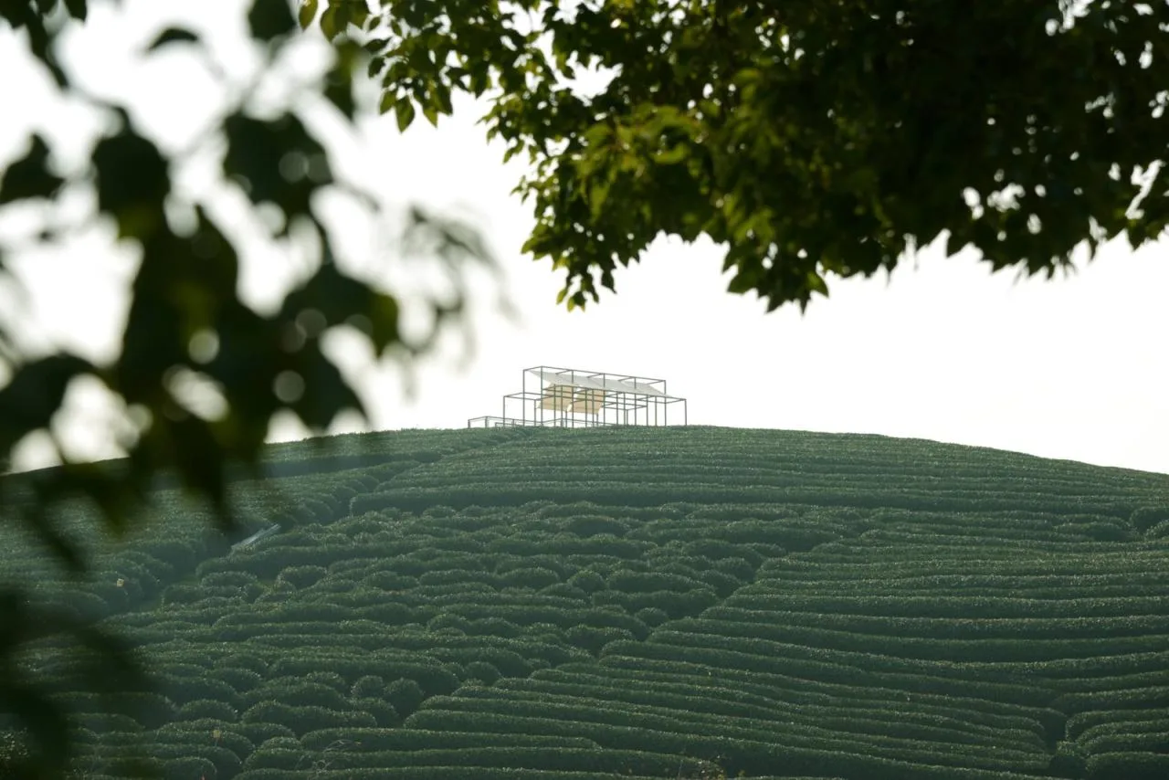 BIM Architecture | Changdai Village Art Village Architecture Series - Chashan Floating Pavilion/Yumu Architecture