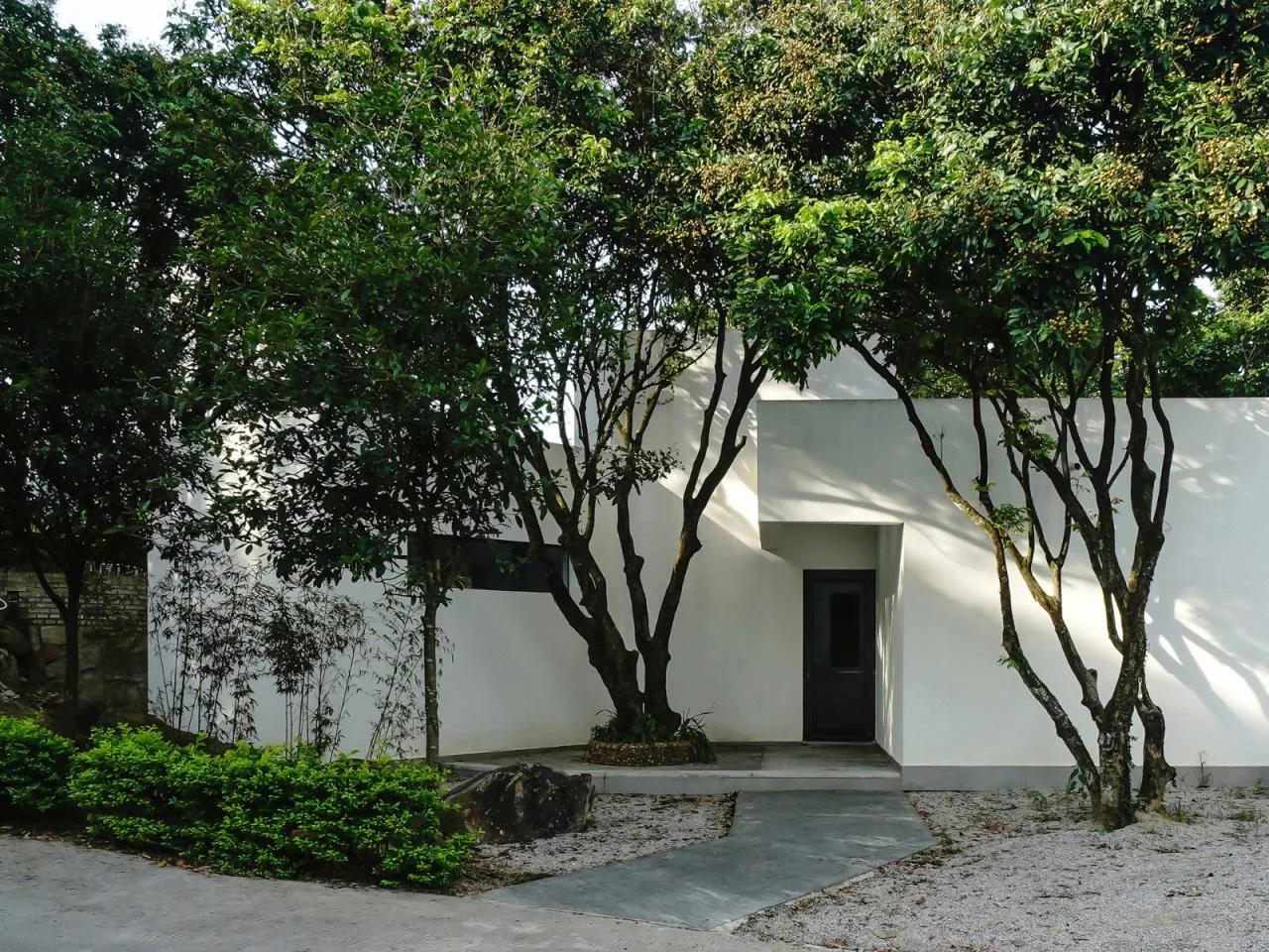 BIM architecture | Yard under longan tree/on-site buildings