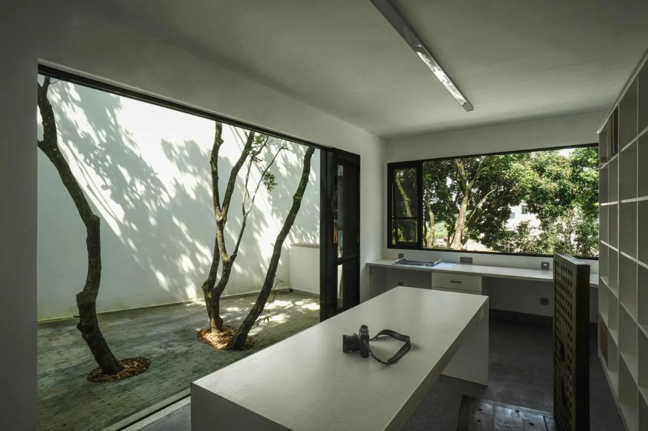 BIM architecture | Yard under longan tree/on-site buildings
