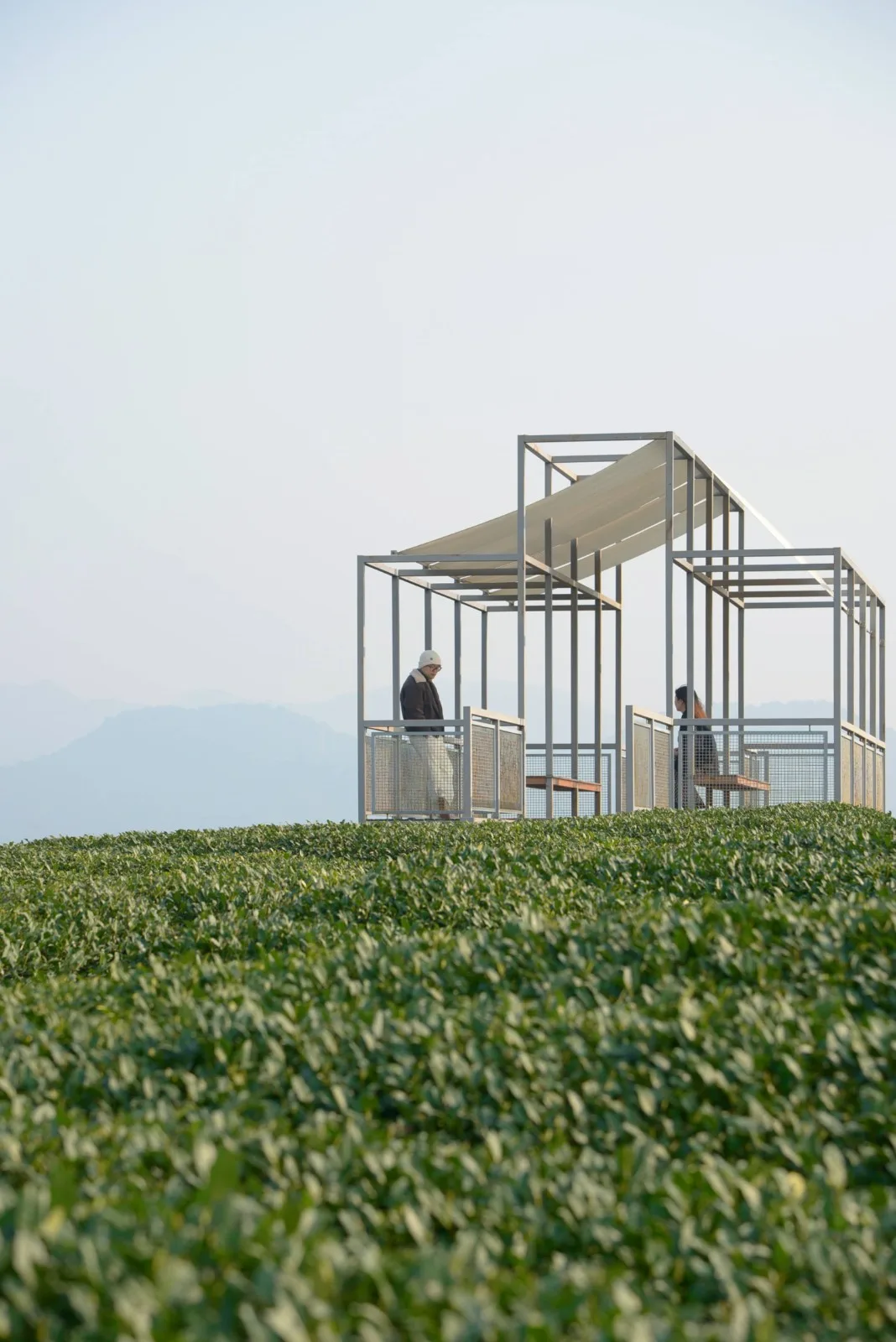 BIM Architecture | Changdai Village Art Village Architecture Series - Chashan Floating Pavilion/Yumu Architecture