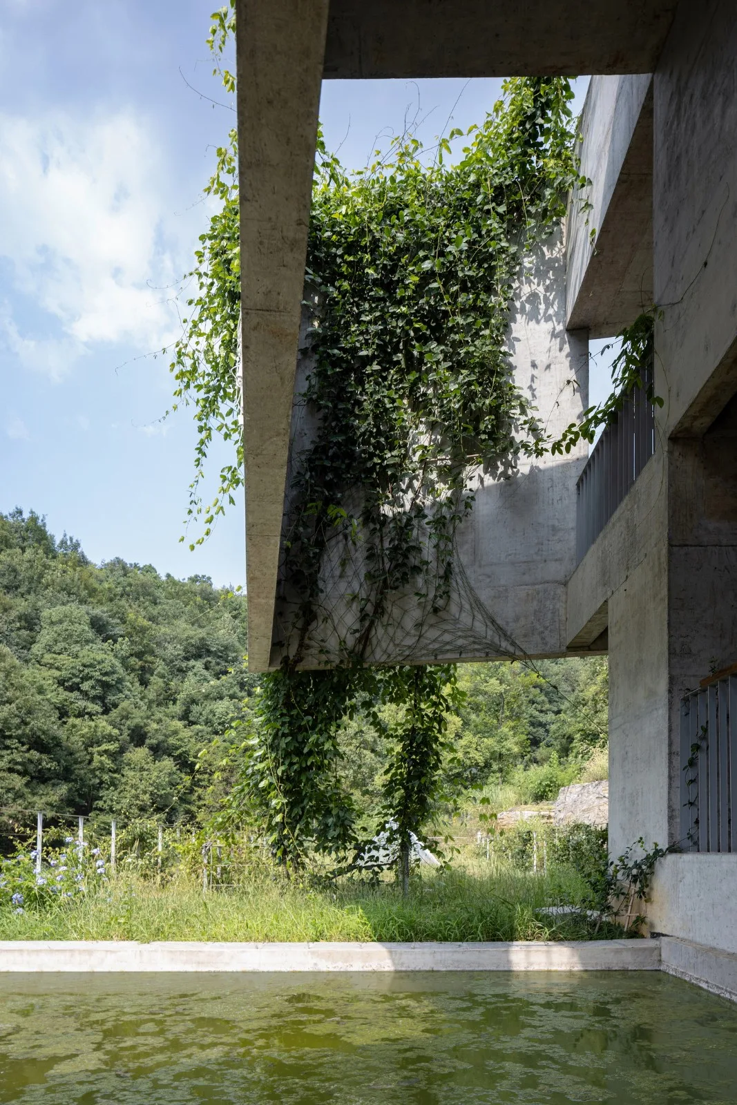 BIM Architecture | Shiyangshan No.1 Residential/Lowercase Architecture Firm