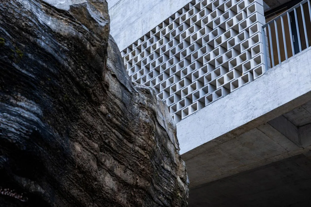 BIM Architecture | Shiyangshan No.1 Residential/Lowercase Architecture Firm