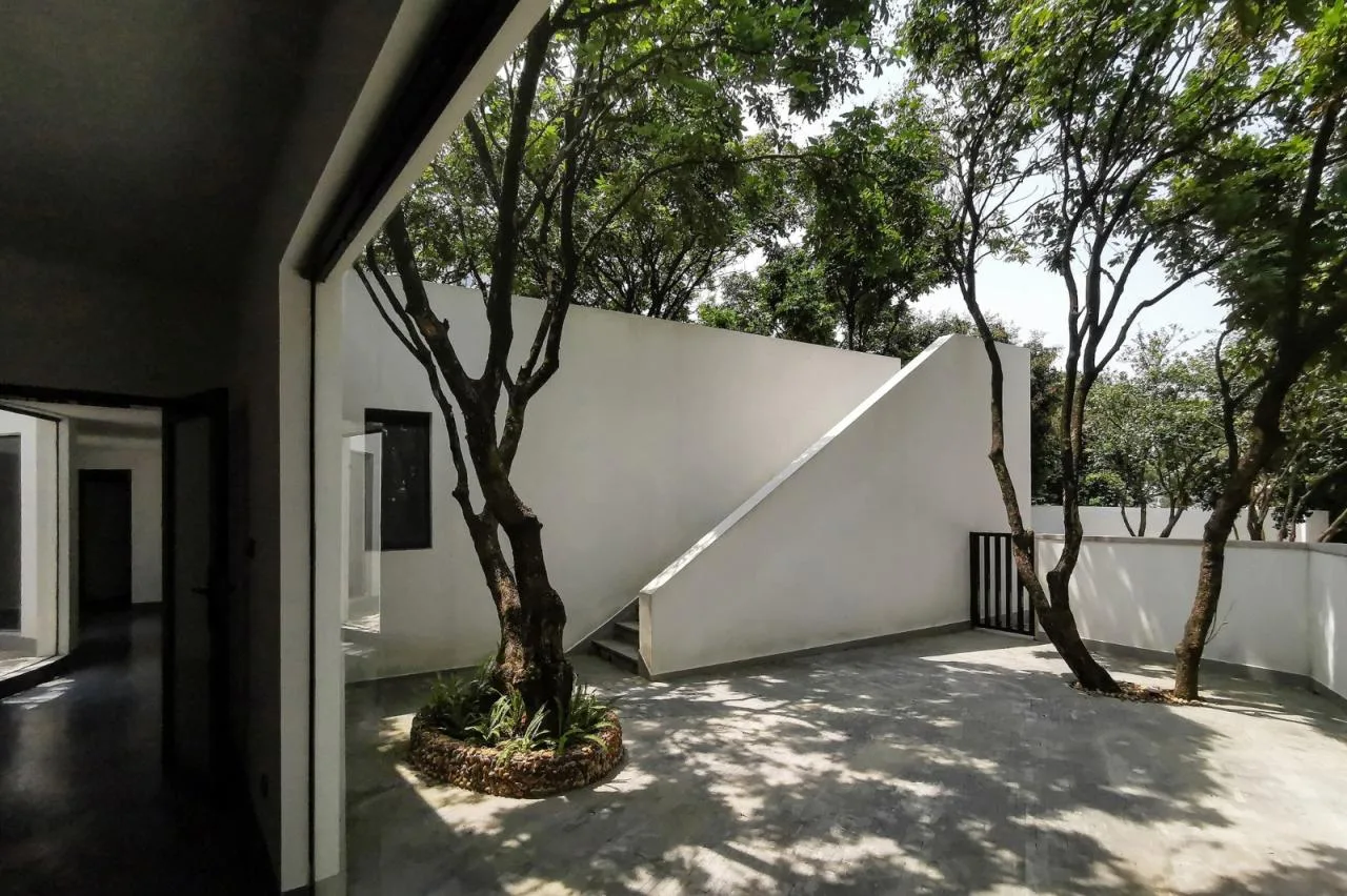BIM architecture | Yard under longan tree/on-site buildings