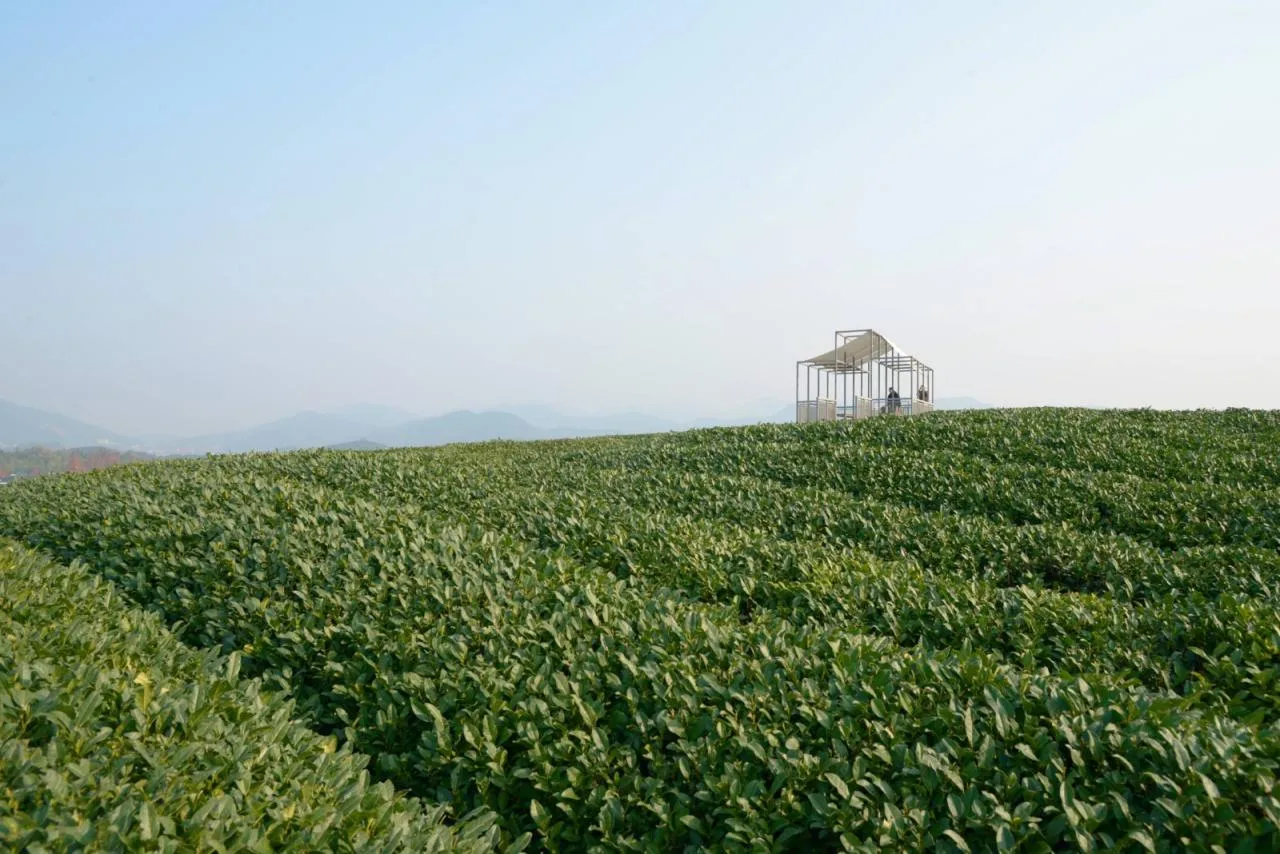 BIM Architecture | Changdai Village Art Village Architecture Series - Chashan Floating Pavilion/Yumu Architecture