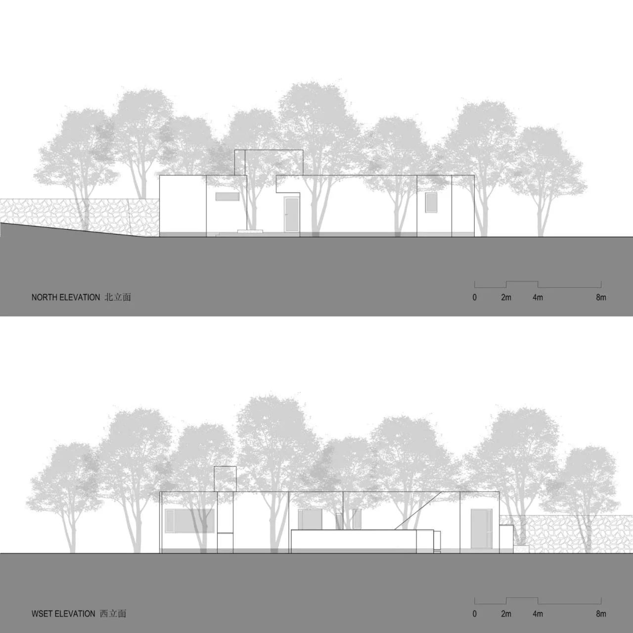 BIM architecture | Yard under longan tree/on-site buildings