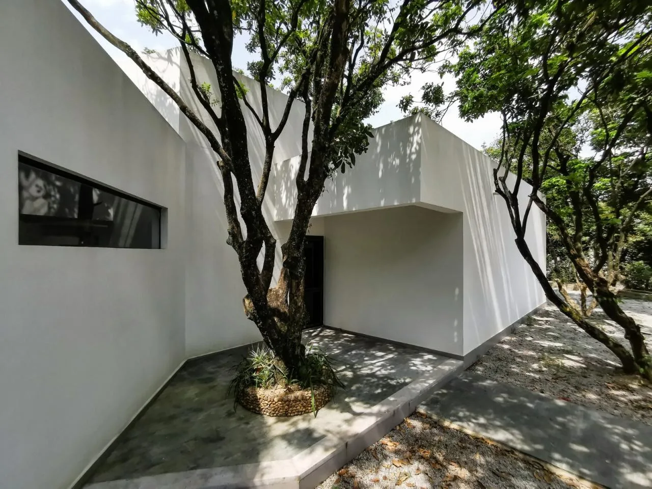 BIM architecture | Yard under longan tree/on-site buildings