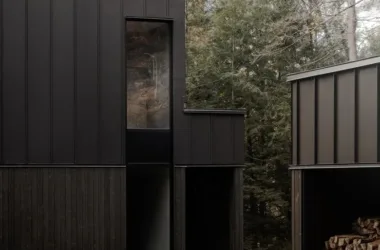 Creating a Harmonious Blend of Architecture and Nature in a Tree-Top Vacation Home with Biological Design Elements-BIM WORLD