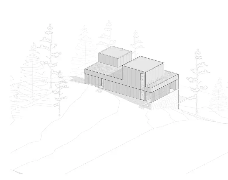 Composing a harmonious melody between architecture and nature among the treetops, with biological details in the design of a vacation home