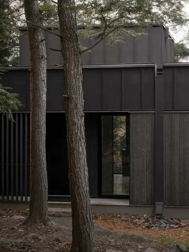 Composing a harmonious melody between architecture and nature among the treetops, with biological details in the design of a vacation home
