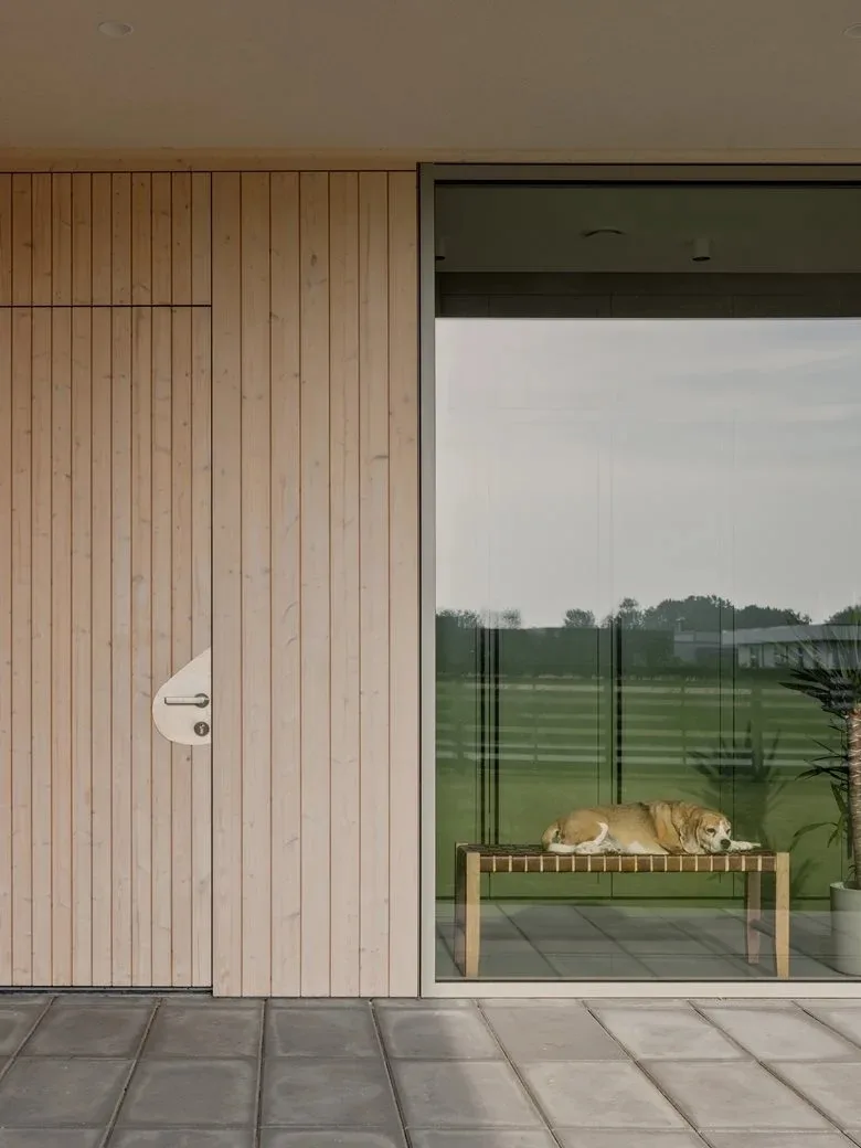 The energy-saving aesthetic details in the birch forest garden are reflected in the ingenious vacation home design