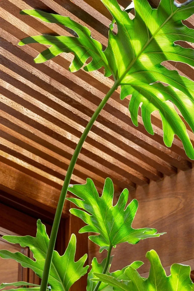 Awaken emotional memory, reshape peaceful life, and design simple and rustic villa renovation