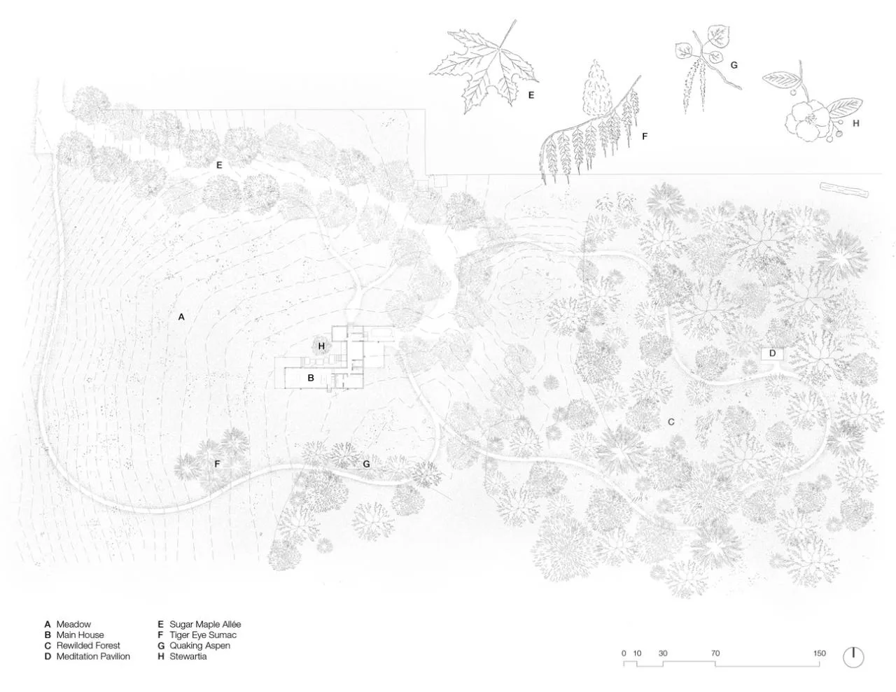 A meditation house floating on the grass, a vacation home design for Zen meditation
