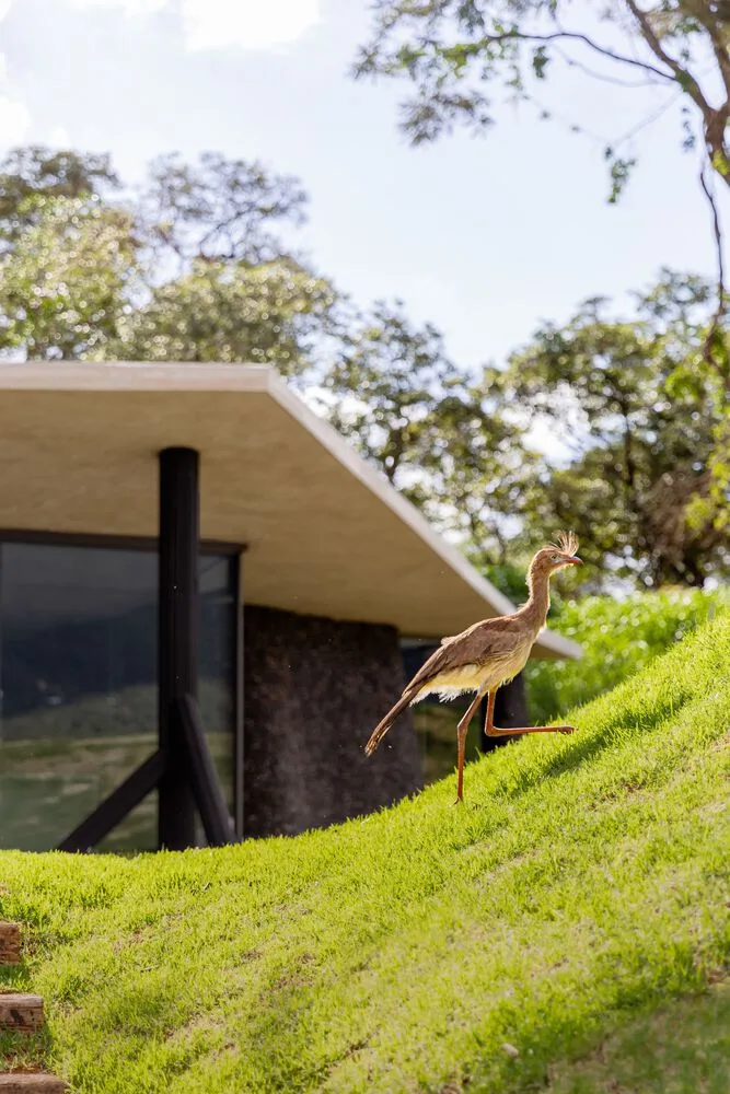 Design of a tranquil, natural, and poetic vacation villa nestled between mountains and forests