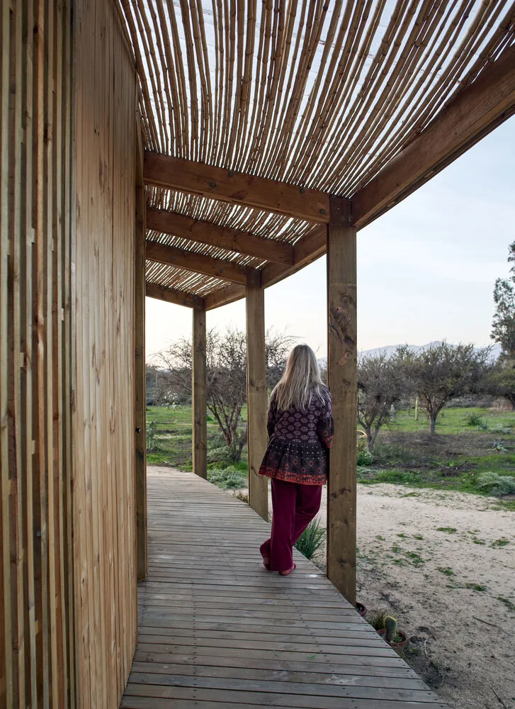 Poetic dwelling of plant couples, a vacation home design intertwined with natural rituals and architectural fantasy