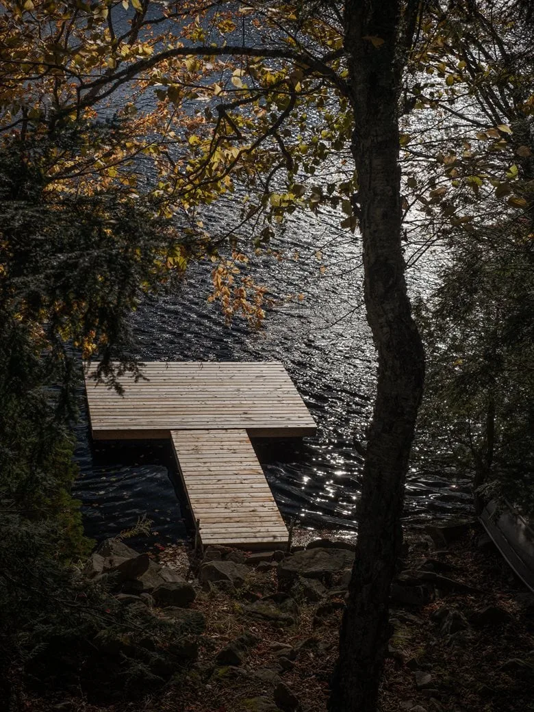 Composing a harmonious melody between architecture and nature among the treetops, with biological details in the design of a vacation home