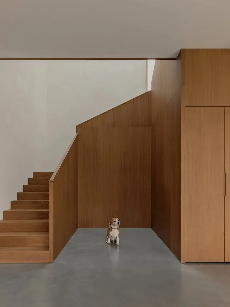 The energy-saving aesthetic details in the birch forest garden are reflected in the ingenious vacation home design