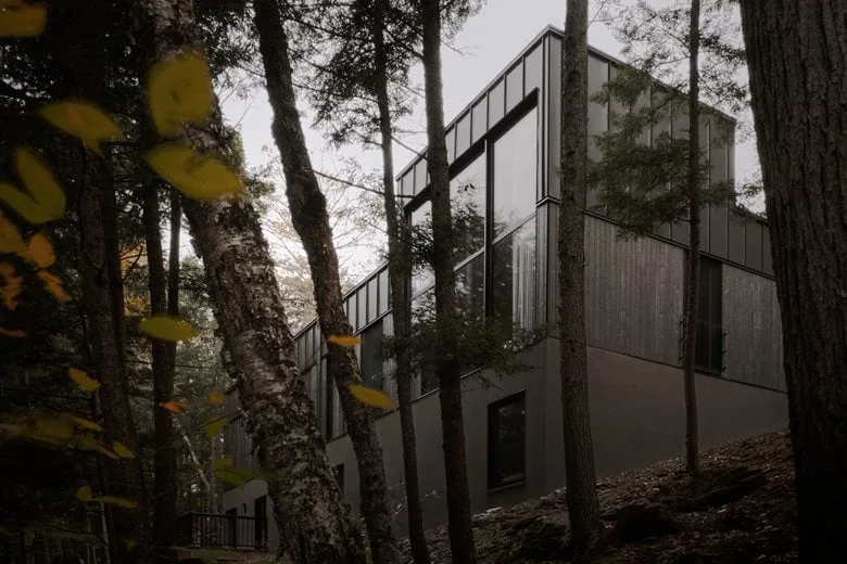 Composing a harmonious melody between architecture and nature among the treetops, with biological details in the design of a vacation home