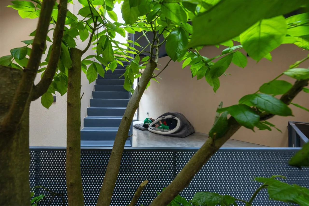 The design of a villa in a valley hidden in the cracks of urban alleys, carrying the time of family affection