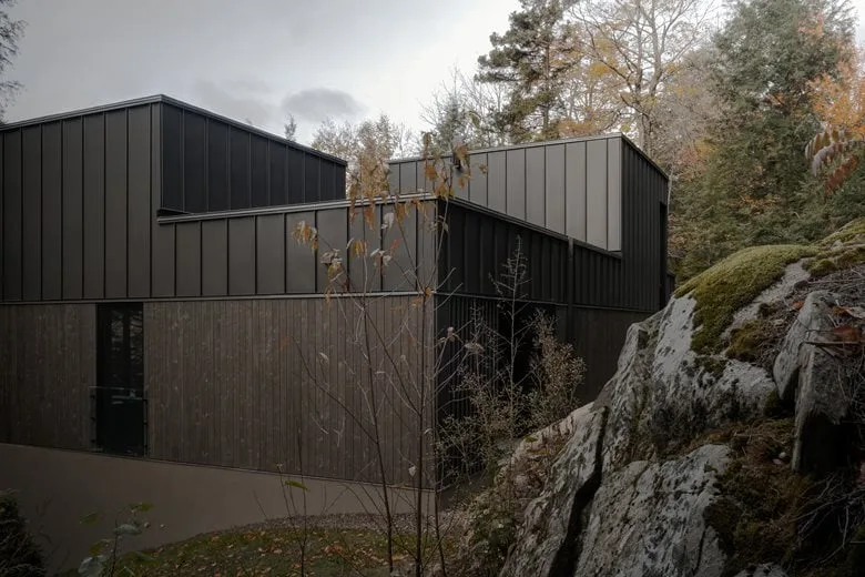 Composing a harmonious melody between architecture and nature among the treetops, with biological details in the design of a vacation home