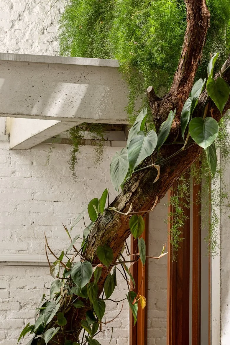 Awaken emotional memory, reshape peaceful life, and design simple and rustic villa renovation