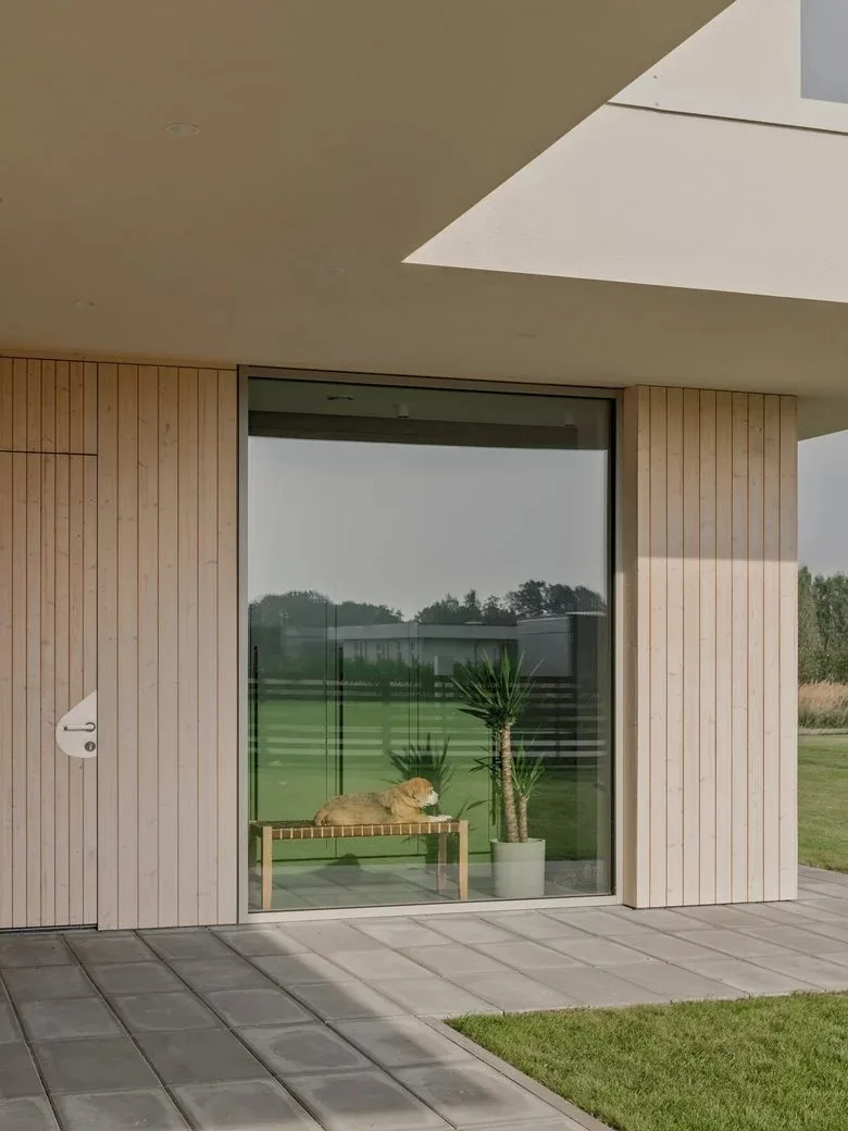The energy-saving aesthetic details in the birch forest garden are reflected in the ingenious vacation home design